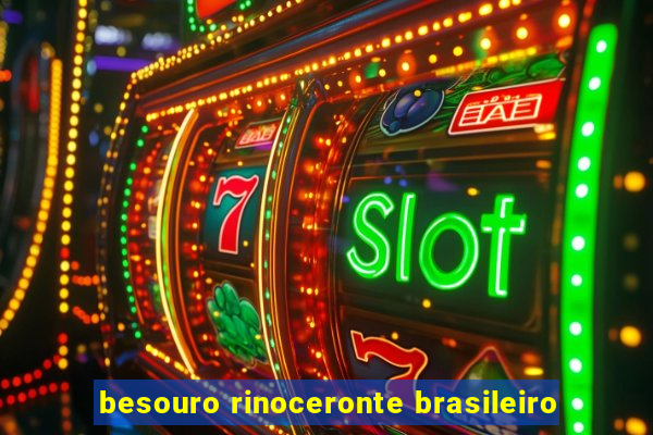 besouro rinoceronte brasileiro